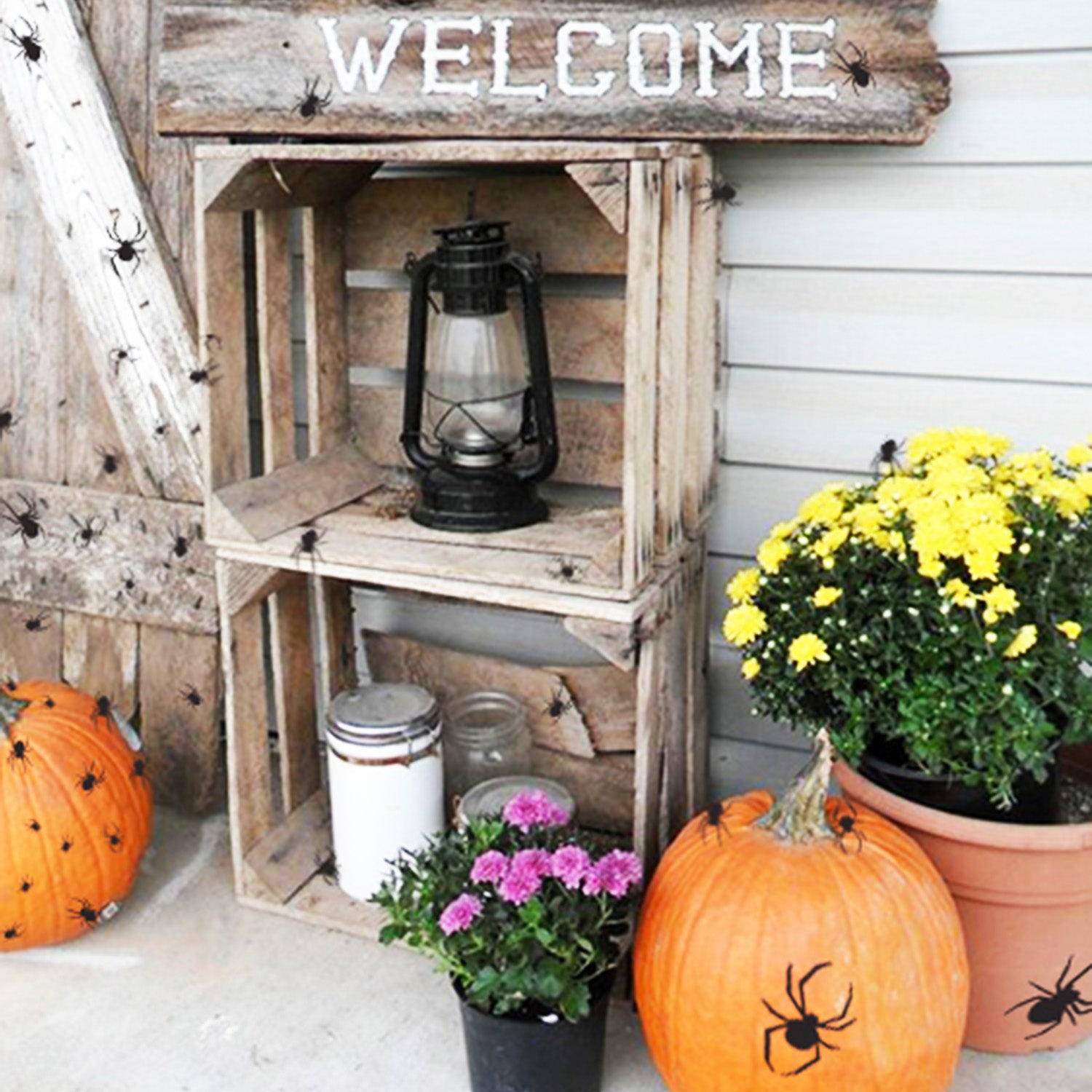 Halloween Spider Vinyl Wall Decal 40 Pack 660078087619