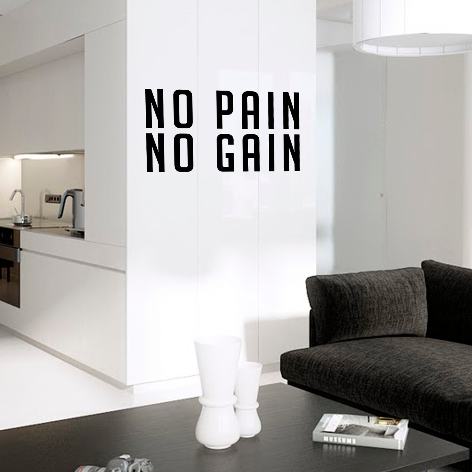 Inspirational Gym Quotes Wall Art Vinyl Decal - No Pain No Gain - 13" x 23" Workout Gym Fitness Sports Quotes Removable Wall Art Sticker Decals Signs 660078093115