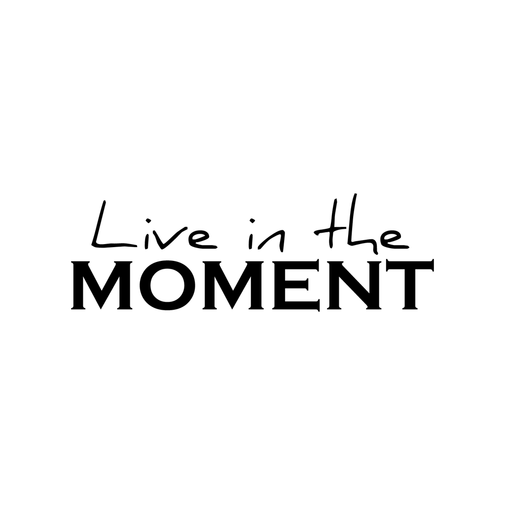 Live in The Moment- Inspirational Life Quotes - Wall Art Decal - 14" x 40" Decoration Vinyl Sticker - Bedroom Living Room Wall Decor - Apartment Wall Decoration - Peel Off Stickers 660078089200