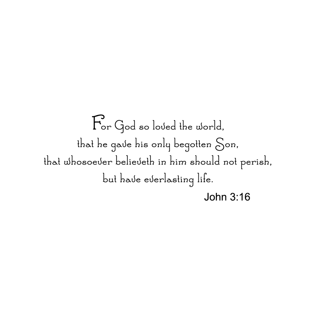 John 3:16 Religious Inspirational Bible Verse 21"-8"