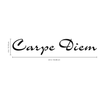 Carpe Diem - 22" x 4" - Vinyl Wall Decal Sticker Art