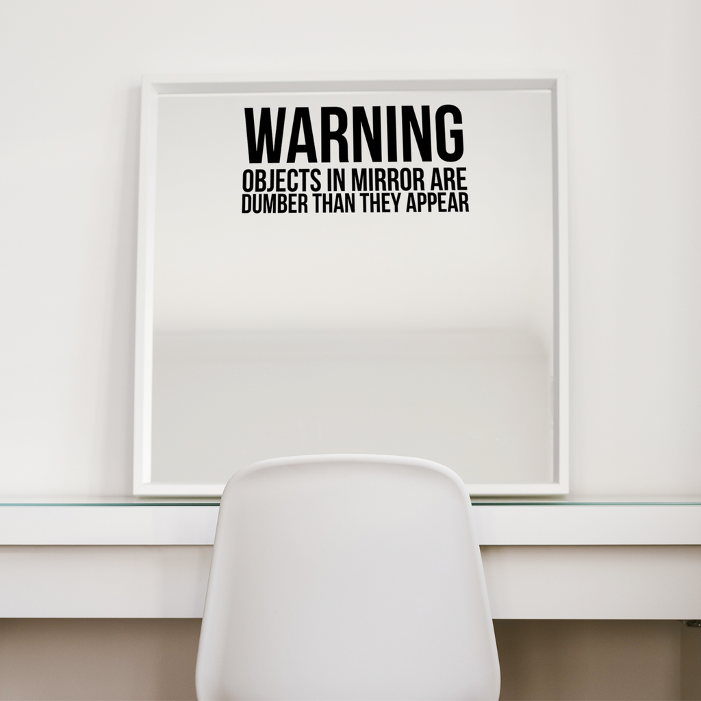 WARNING OBJECTS IN MIRROR ARE DUMBER THAN THEY APPEAR Sign - Wall Art Decal - 14" x 7" - Funny Bathroom Art - Peel Off Vinyl Stickers - Trendy Waterproof Decal - Restroom Wall Decoration Vinyl