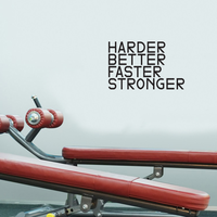 Harder, Better, Faster, Stronger - Inspirational Quotes Wall Art Decal - 15" x 23" Decoration Vinyl Sticker - Life Quote Vinyl Decal - Gym Wall Vinyl Sticker - Trendy Wall Art 660078089835